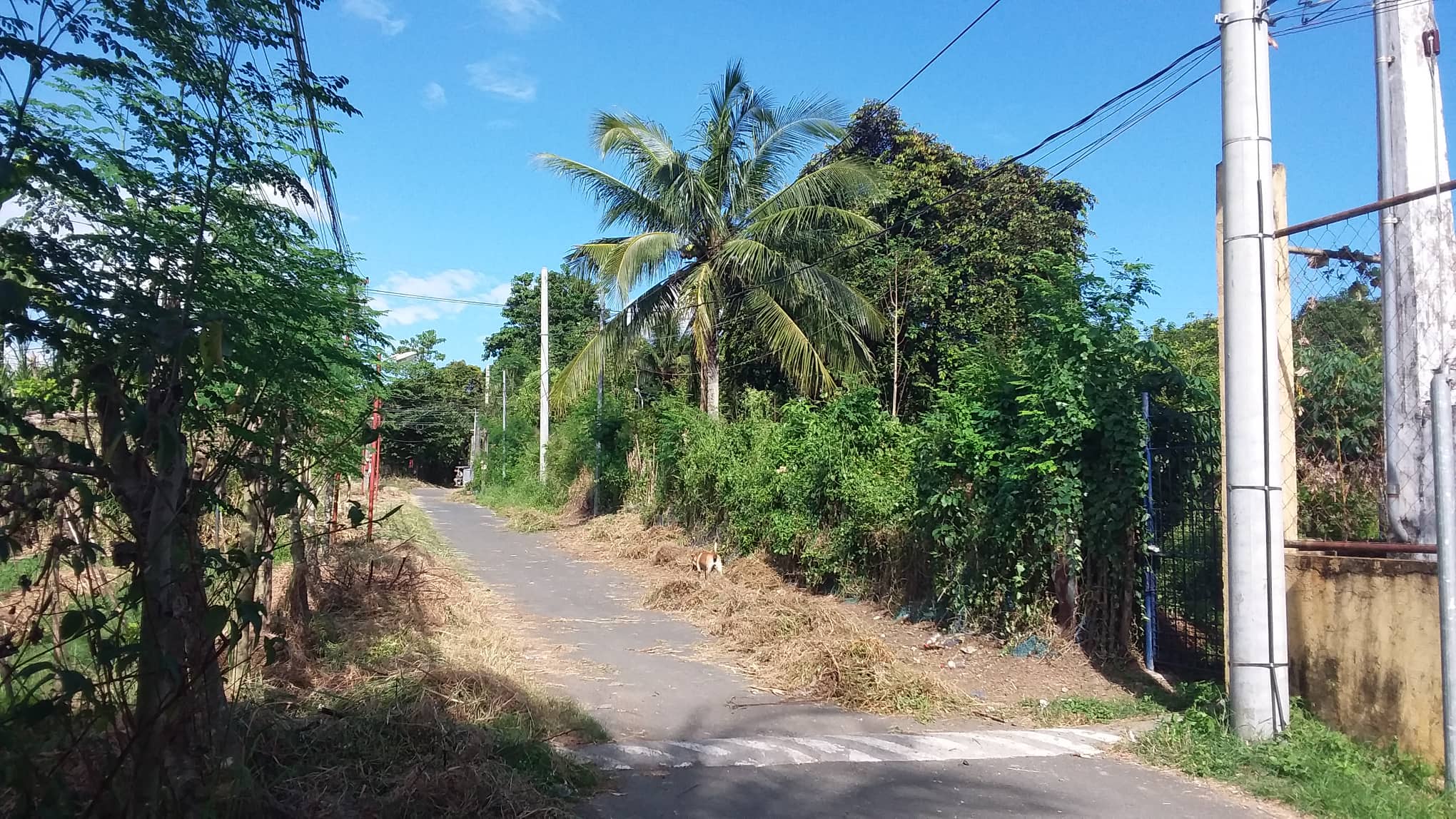 Land For Sale Located At Dasmarinas Cavite Santos Knight Frank Land For Sale Located At Dasmarinas Cavite Santos Knight Frank